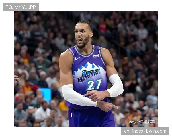 爱德华兹关键球能力显著提升 森林狼净效率值稳居西部前列