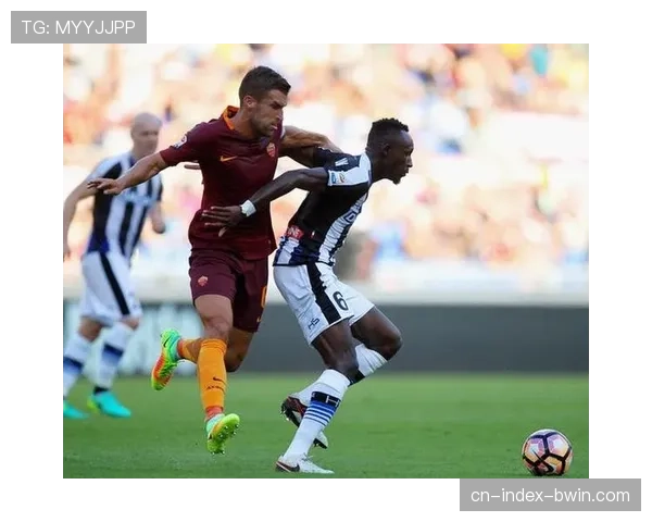 乌迪内斯冬窗身价下降1700万欧 保级之路将更为艰难 乌迪内斯冬窗身价下降1700万欧 保级之路将更为艰难